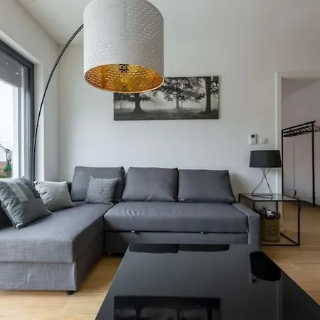 Magnifique 2 Pieces, Equipe, Terrasse Privee 公寓 科尔马