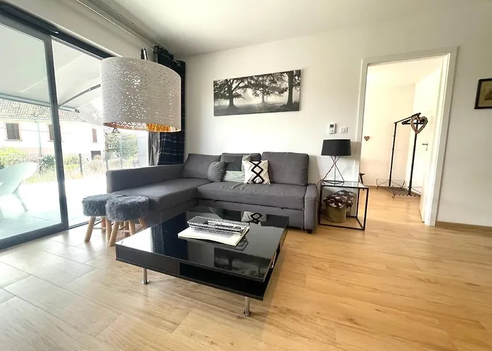 Appartement Magnifique 2 Pièces, équipé, Terrasse Privée Colmar